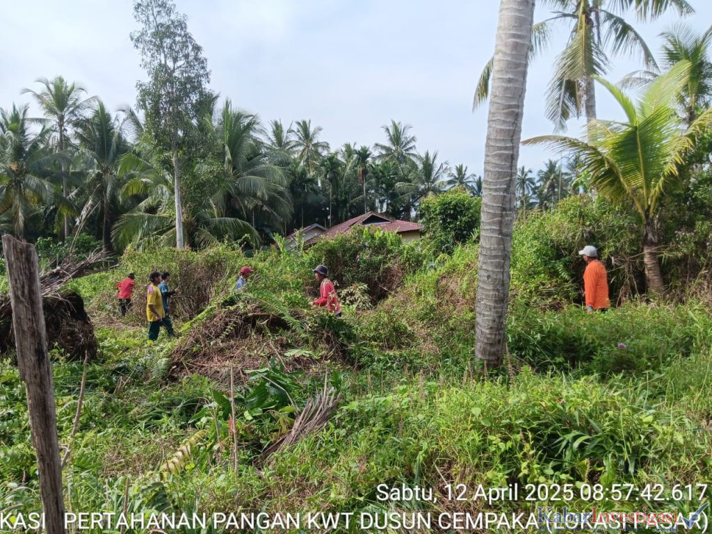 Kegiatan Goro Seluruh KWT di Desa Sungai Intan