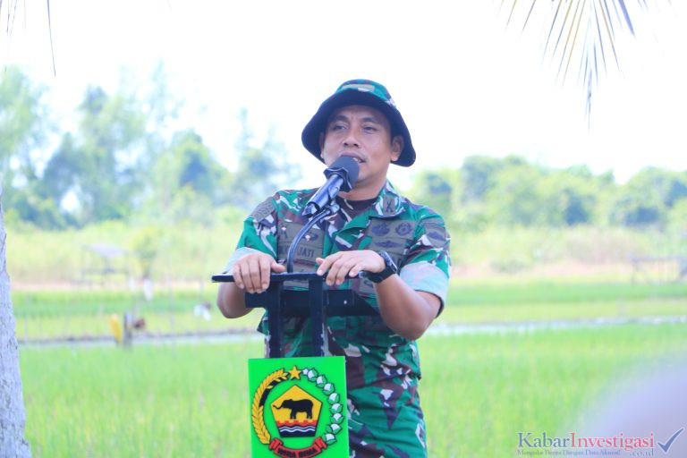 Komitmen Dandim 0314/Inhil Dukung Swasembada Pangan, Hadiri Penanaman Padi Serentak Di Tempuling
