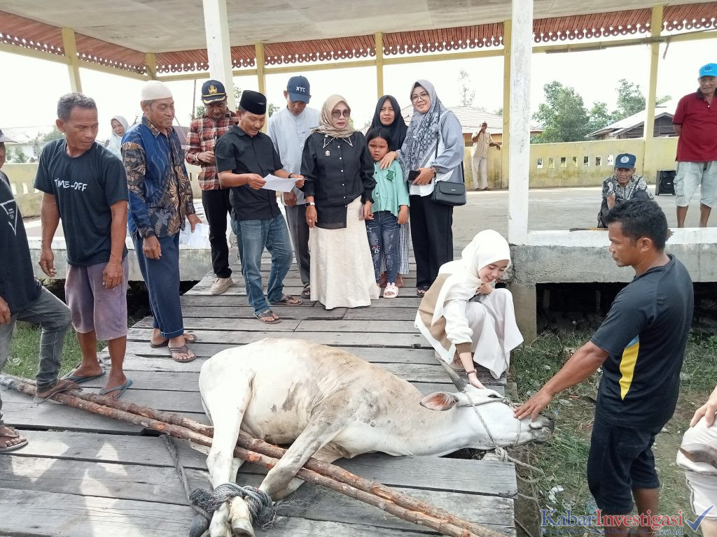 Idul Adha 1446. H Pemerintah Kecamatan Tanah Merah, Dan Karyawan PT. Pulau Sambu Kuala Enok bagikan daging Qurban