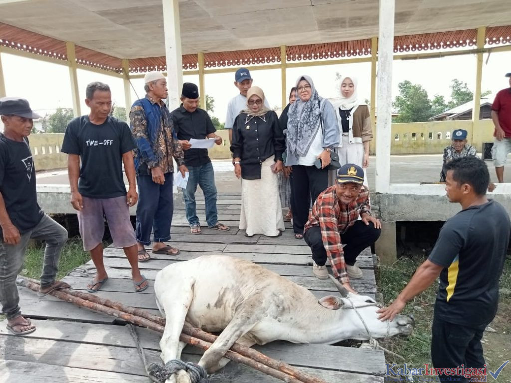 Staf dan Pegawai Honor Kantor kecamatan Tanah merah Juga Staf Kantor Kelurahan Kuala Enok Bagikan daging qurban Idul Adha 1446 H