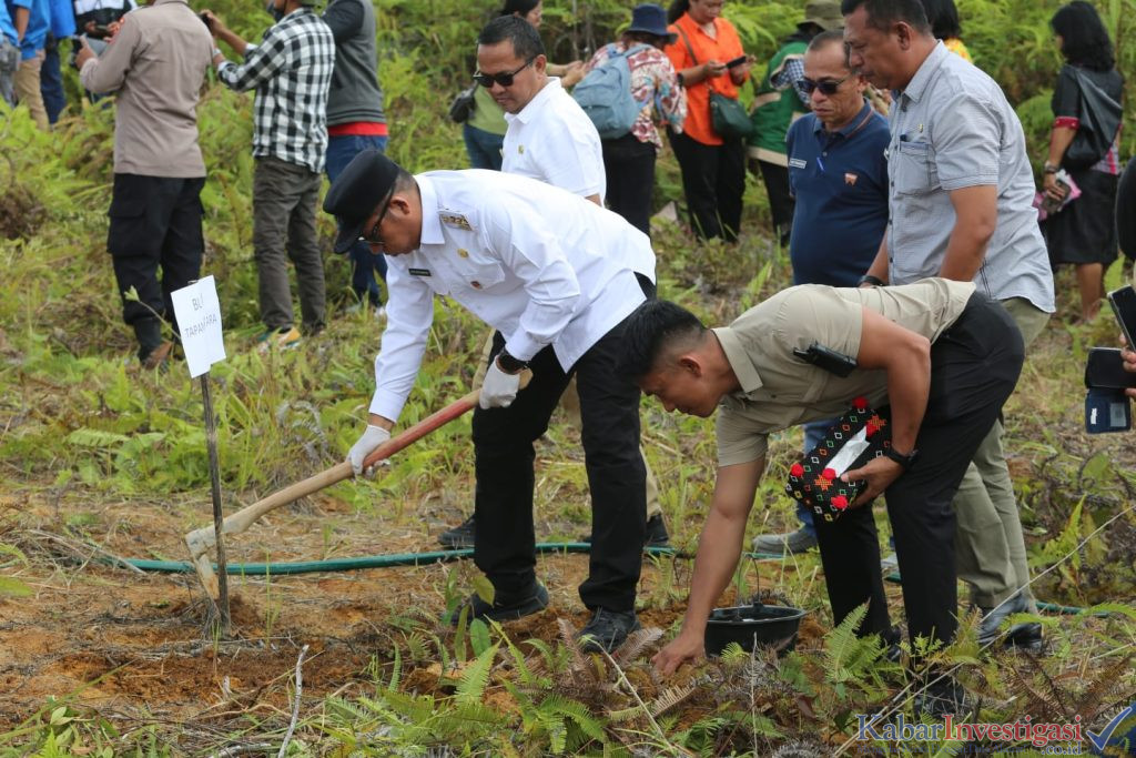 Bupati Tapanuli Utara Canangkan Penanaman Sejuta Pohon Durian untuk Pemulihan Pascabencana