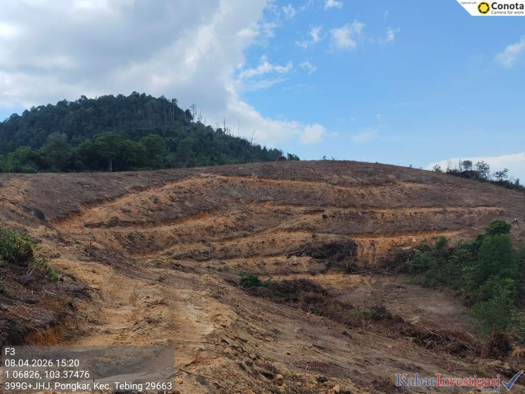 Demi Investor, Hutan Lindung Jadi Dibebaskan Untuk Dirusak. Diduga Nama Wabup Karimun Dicatut. Benarkah?