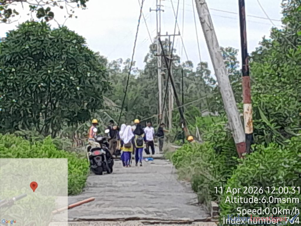 Petugas dan Karyawan PLN Bergerak Cepat Tangani Tumbang Jaringan Listrik di Kuala Enok