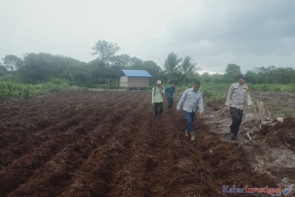 Kepolisian Sektor Kecamatan Mandah, Didampingi Bhabinkamtibmas Turun ke Desa Belaras Barat Monitoring Penanaman Jagung