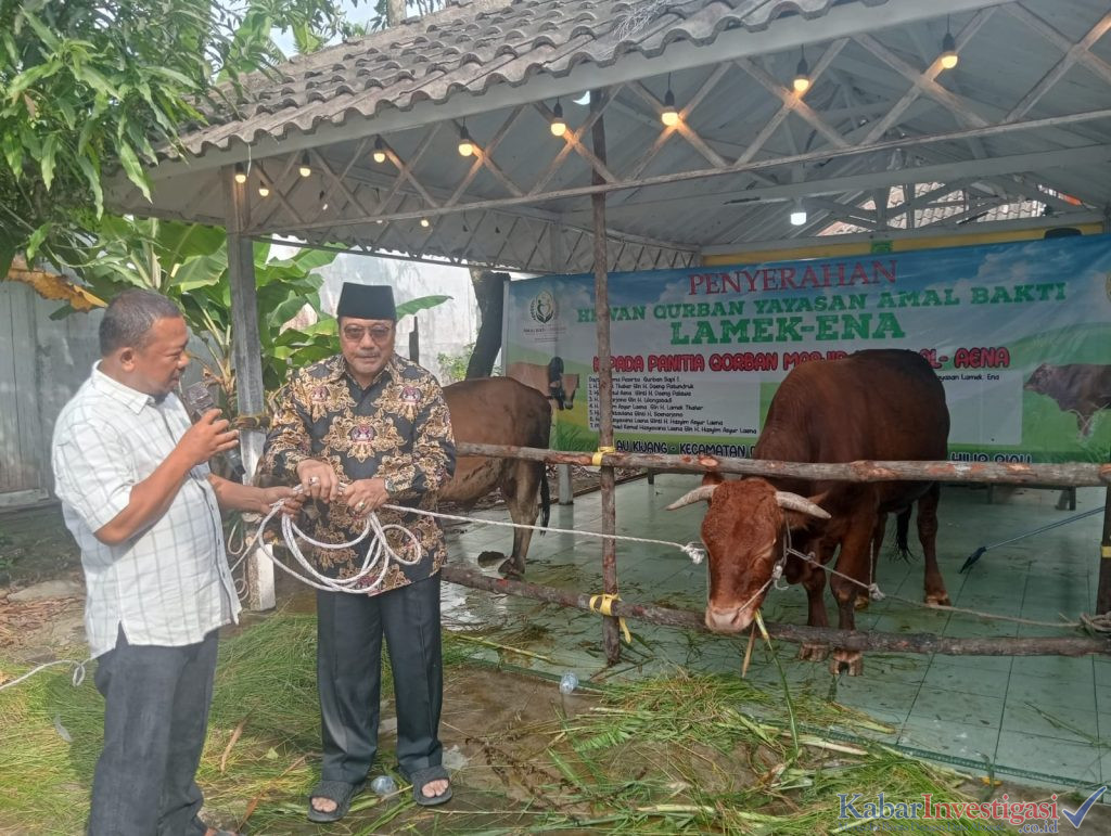 PENYERAHAN HEWAN QURBAN YAYASAN AMAL BAKTI LAME-ENA