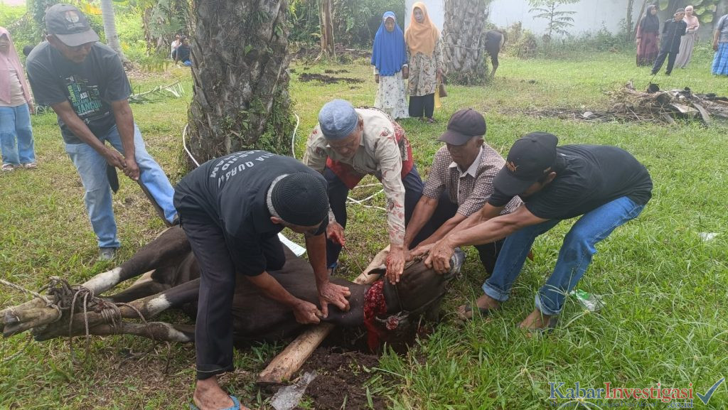 Madjid AL-ILHAM Desa Pakning Asal Laksanakan Qurban Hewan