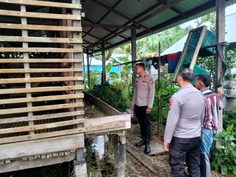 Kapolsek KSKP Tembilahan, Ipda Parna B. Simarmata Sambangi Peternak Kambing Berikan Penyuluhan Penguatan Sektor Peternakan Salah satu Penopang utama Swasembada Pangan
