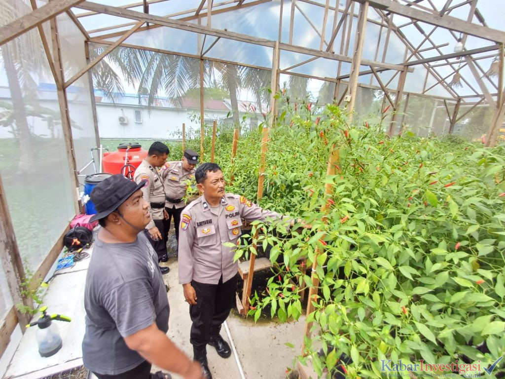 Sat Binmas Polres Inhil Lakukan Pengecekan Program Pekarangan Pangan Bergizi di Kelurahan Pekan Arba
