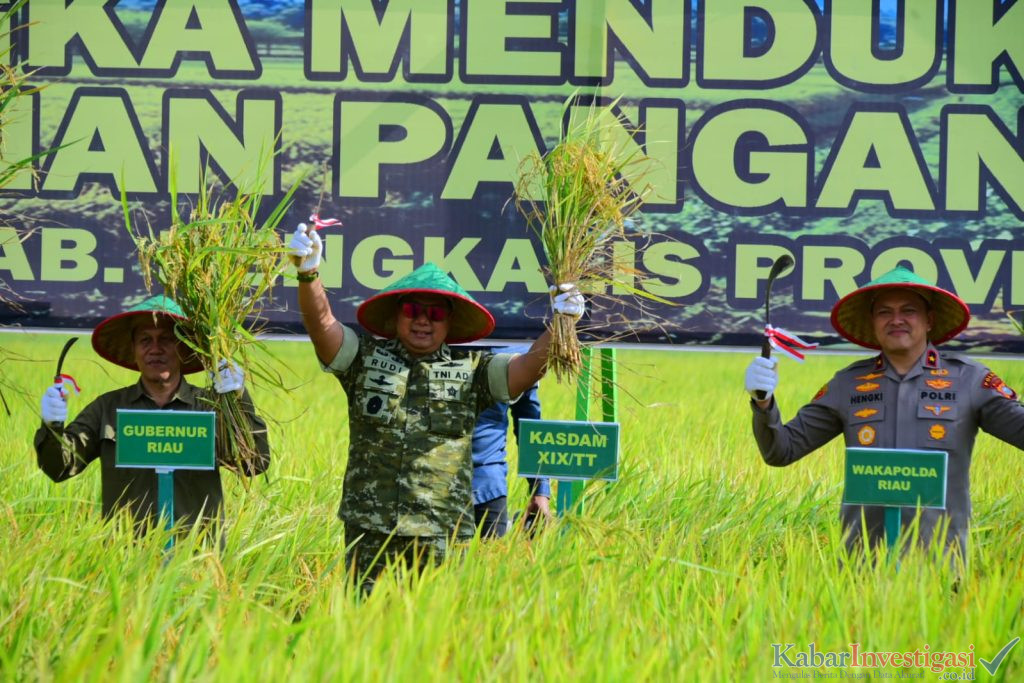 Kodam XIX Tuanku Tambusai Dukung Swasembada Pangan, Panen Raya Bengkalis Perkuat Sinergi TNI dan Masyarakat
