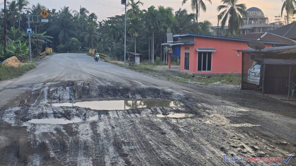 SOROTAN”BUTUH PERHATIAN SERIUS” SEPTINA PRIMAWATI DESAK PEMPROV PERBAIKI JALAN MENUJU PELABUHAN KUALA ENOK