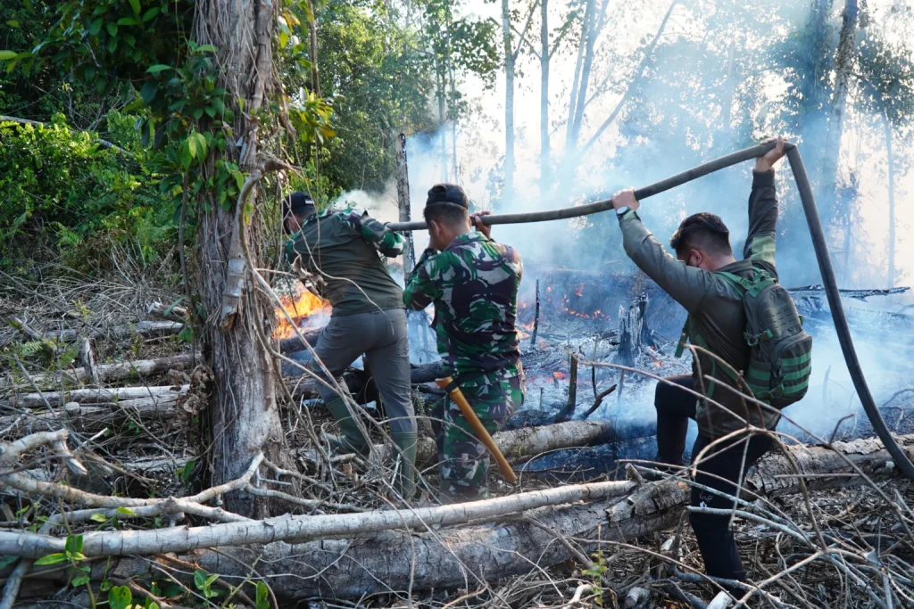 Dandim 0314/Inhil Turun Langsung Padamkan Karhutla di Desa Simpang Gaung
