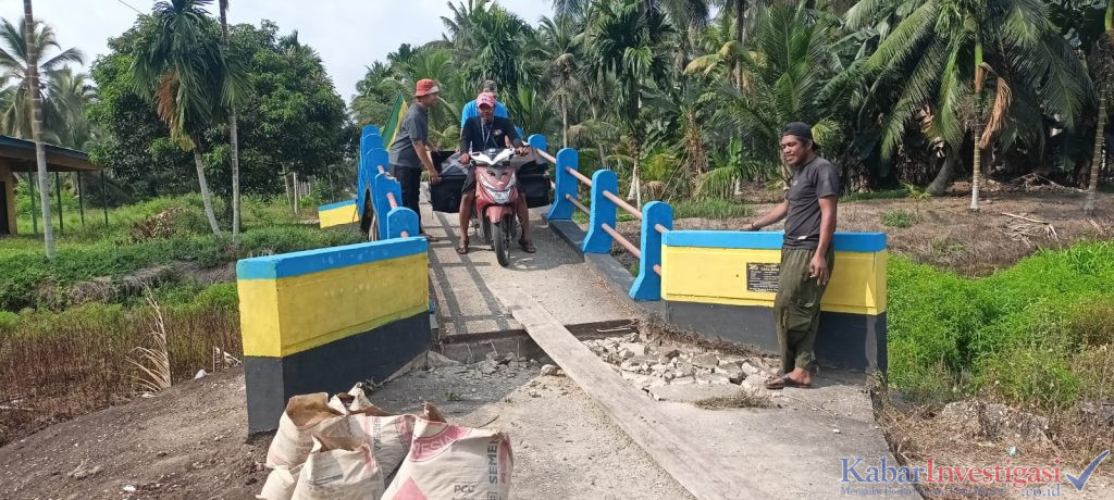 Masyarakat Desa Wono Sari Perbaiki Jembatan Dengan Swadaya Masyarakat