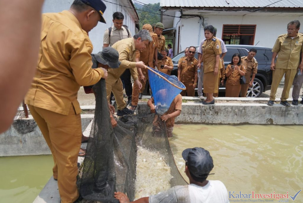 Tinjau BBI Purbatua, Pemkab Taput Dorong Inovasi Budidaya Ikan Air Tawar