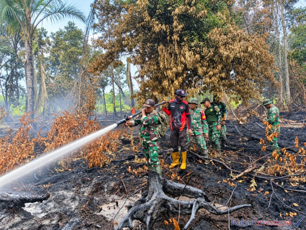 Kodam XIX/Tuanku Tambusai Tangani Karhutla 12 Hektare di Bengkalis dan Kepulauan Meranti