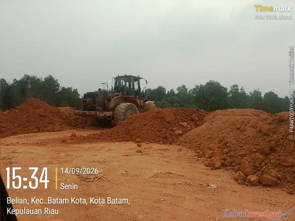 SUDAH PINAL SOAL POHON BAKAU YANG DI TIMBUN DASAR HUKUM LINGKUNGAN