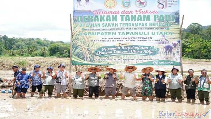 Kabupaten Tapanuli Utara Laksanakan Gerakkan Tanam Padi 10 hektar di Lahan Terdampak Bencana